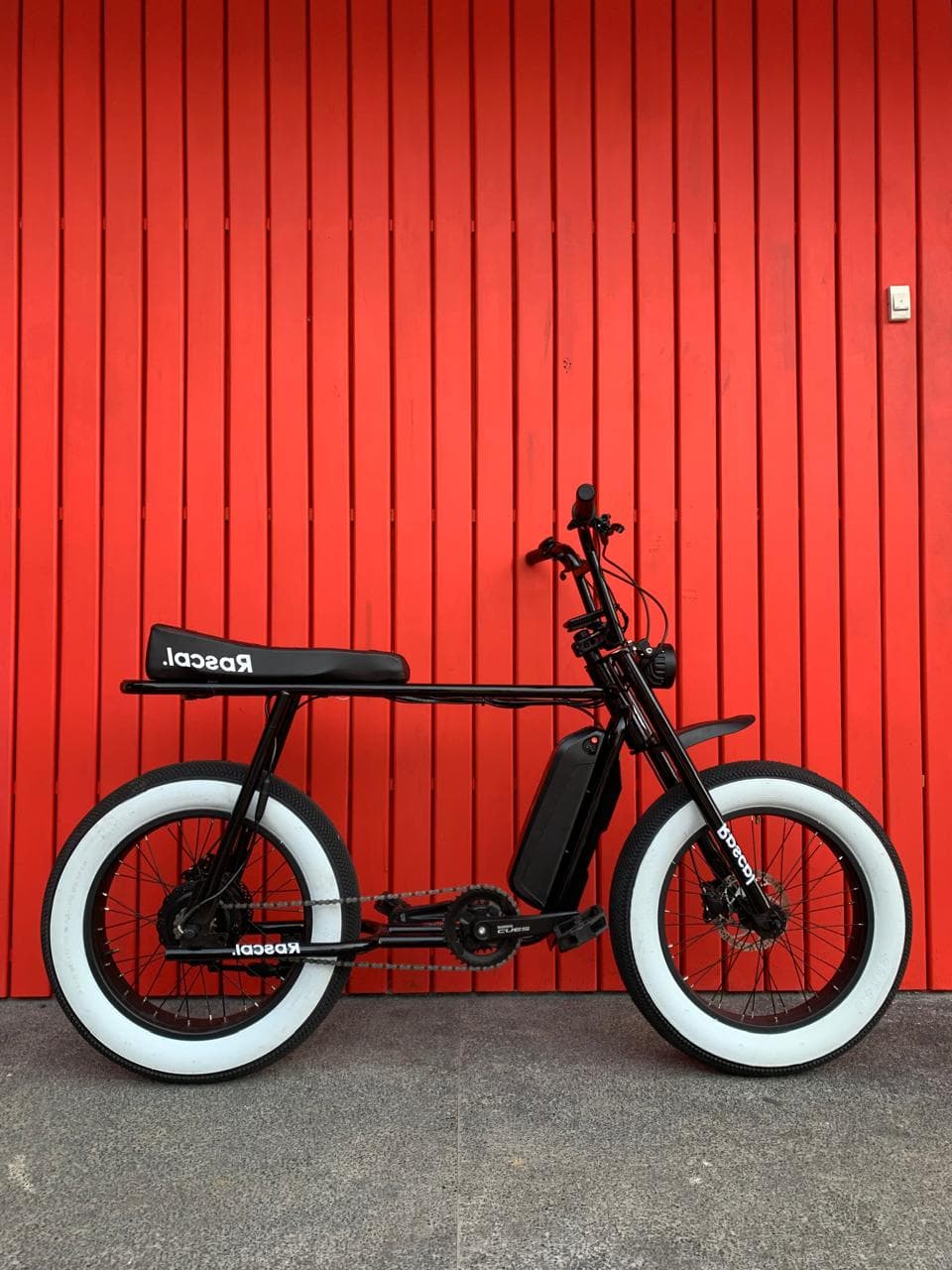 RASCAL E-Bike